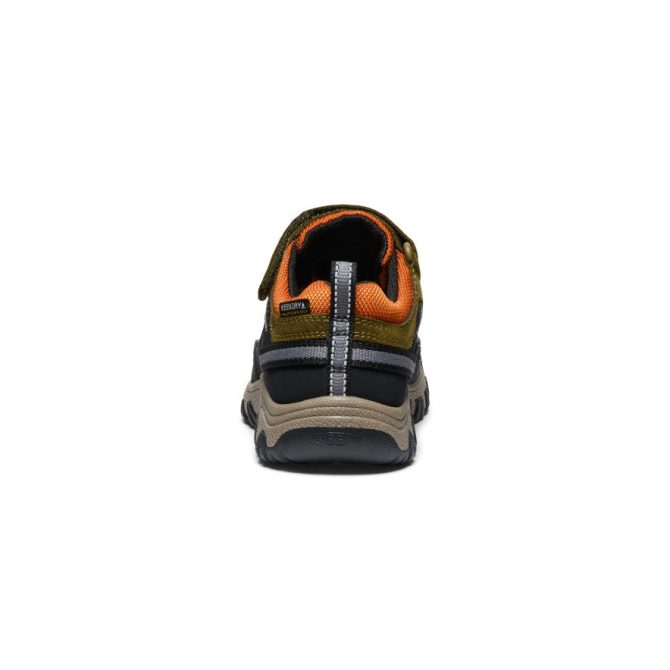 Little Kids' Targhee IV Waterproof Hiking Shoe - Image 5