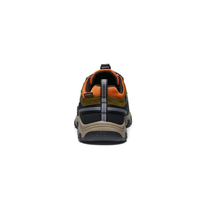 Big Kids' Targhee IV Waterproof Hiking Shoe - Image 5
